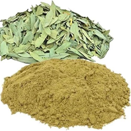 NILAVAGAI (SENNA)