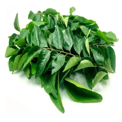 KARIVEPPILAI  (Murraya koenigii)